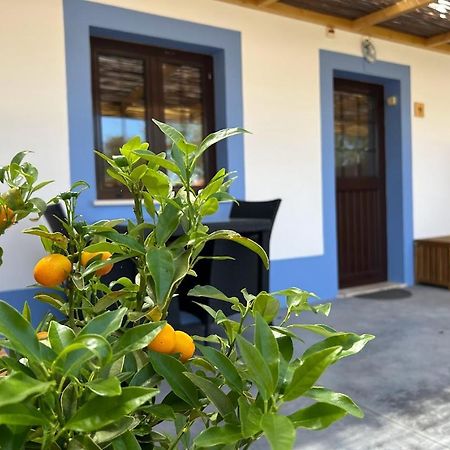 Hotel Quinta Da Boavista Vila Nova de Milfontes Zewnętrze zdjęcie