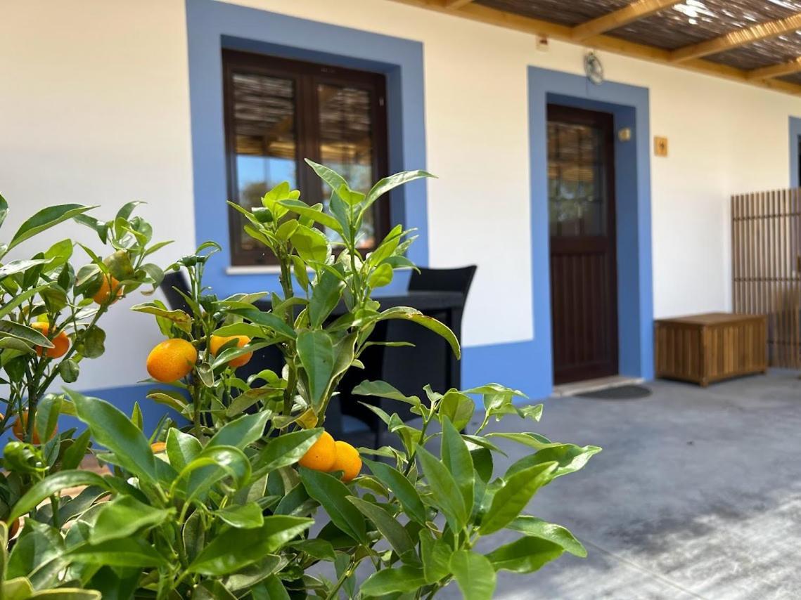 Hotel Quinta Da Boavista Vila Nova de Milfontes Zewnętrze zdjęcie